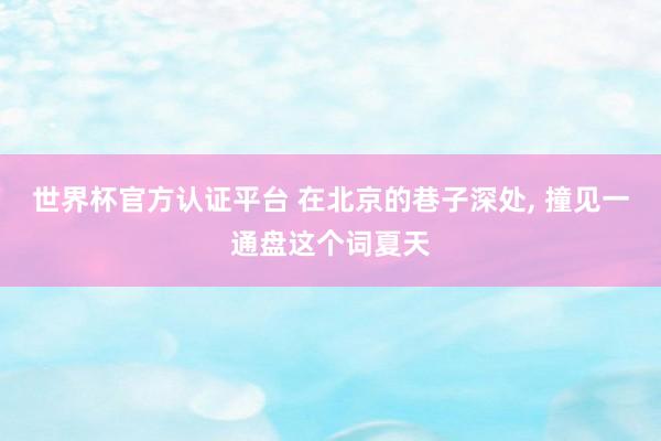 世界杯官方認證平臺 在北京的巷子深處, 撞見一通盤這個詞夏天