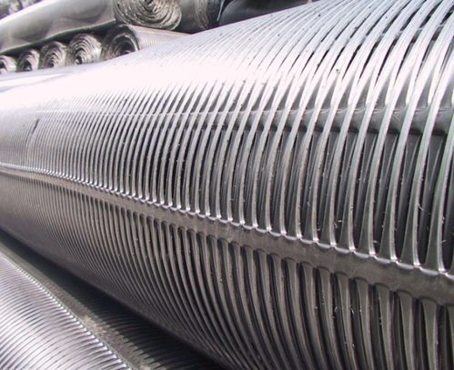 龍口鋼塑土工格柵批發(fā)價現(xiàn)在是什么價格