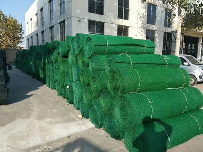 日喀則地區(qū)鋼塑復(fù)合土工格柵價格《-歡迎您》日喀則地區(qū)價格《-歡迎您》